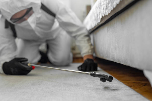 Professional Ant Control technician working in Temescal Valley, CA